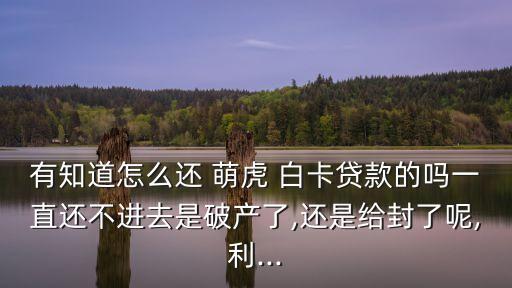 萌虎白卡