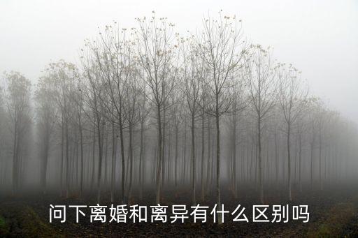 問下離婚和離異有什么區(qū)別嗎
