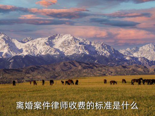 離婚案件律師收費(fèi)的標(biāo)準(zhǔn)是什么