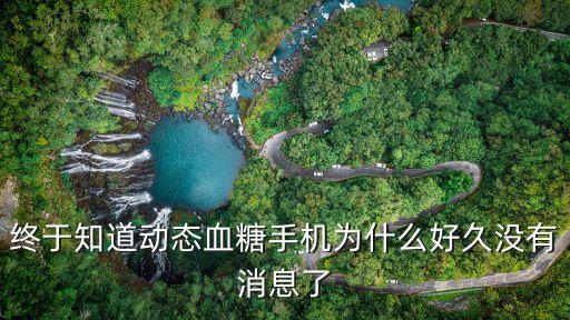 終于知道動(dòng)態(tài)血糖手機(jī)為什么好久沒有消息了