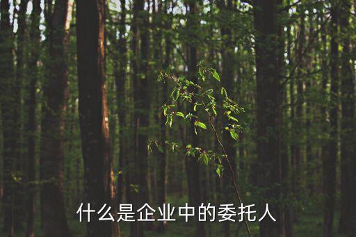 委托人，什么是企業(yè)中的委托人
