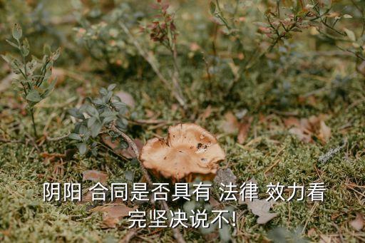 陰陽(yáng)合同哪個(gè)有法律效力,房屋買(mǎi)賣(mài)陰陽(yáng)合同的法律效力