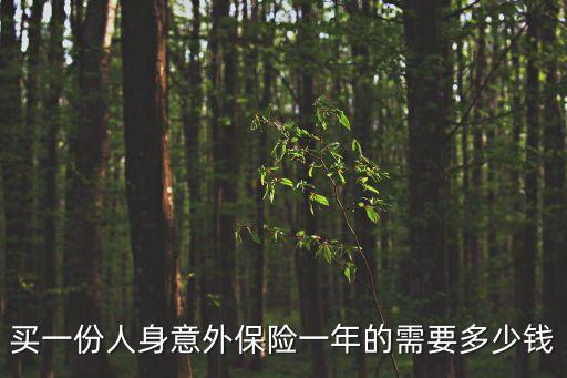 買個(gè)意外險(xiǎn)多少錢一年，意外保險(xiǎn)一年多少錢