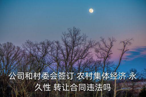 公司和村委會簽訂 農(nóng)村集體經(jīng)濟 永久性 轉(zhuǎn)讓合同違法嗎