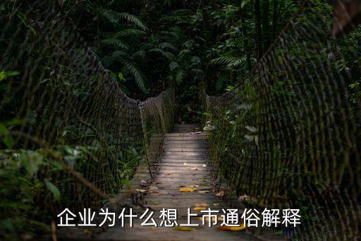 企業(yè)為什么想上市通俗解釋