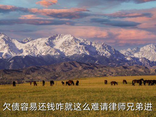 欠債容易還錢咋就這么難請律師兄弟進(jìn)
