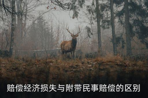 賠償經(jīng)濟(jì)損失與附帶民事賠償?shù)膮^(qū)別
