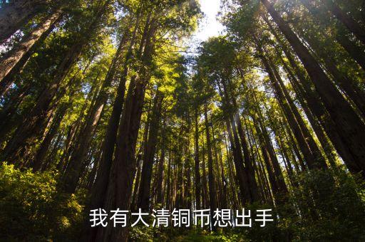 我有大清銅幣想出手