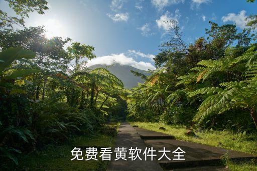 看黃鏈接,在哪里看片?