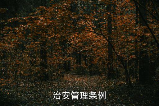 社會(huì)治安管理?xiàng)l例，什么叫社會(huì)治安綜合治理管理?xiàng)l例