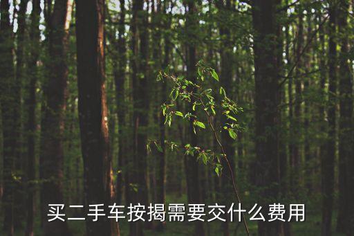 二手車按揭，買2手車能按揭嗎要怎么按揭啊