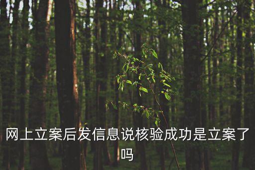 網(wǎng)上立案后發(fā)信息說核驗(yàn)成功是立案了嗎