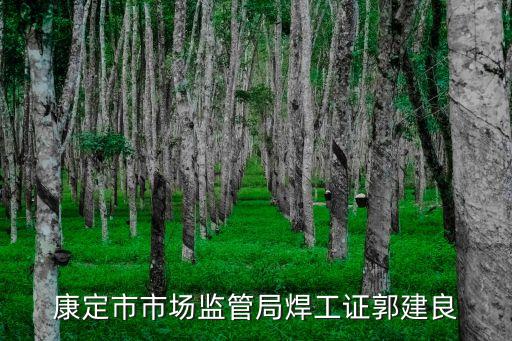 郭建良，戀愛(ài)達(dá)人作曲者是誰(shuí)