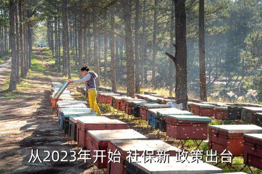 從2023年開(kāi)始 社保新 政策出臺(tái)