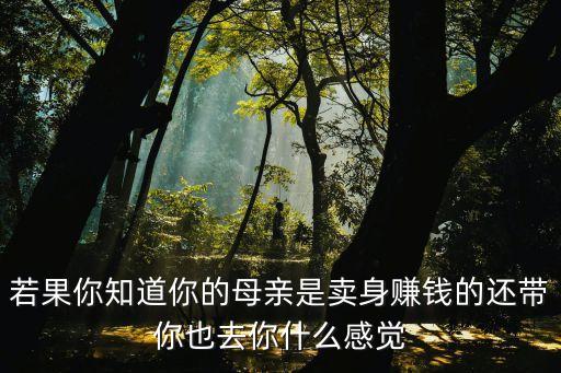 母女賣淫，若果你知道你的母親是賣身賺錢的還帶你也去你什么感覺
