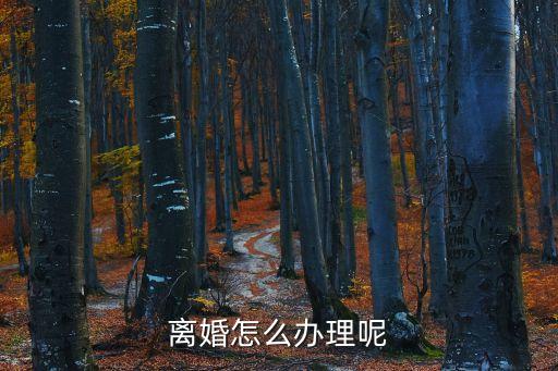 離婚怎么辦理呢