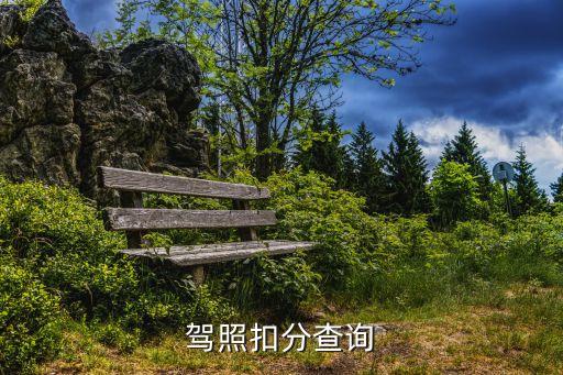 駕照扣分查詢