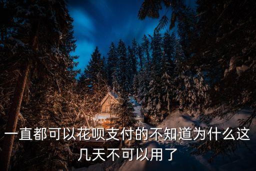 花唄*，花唄暫時(shí)不可使用
