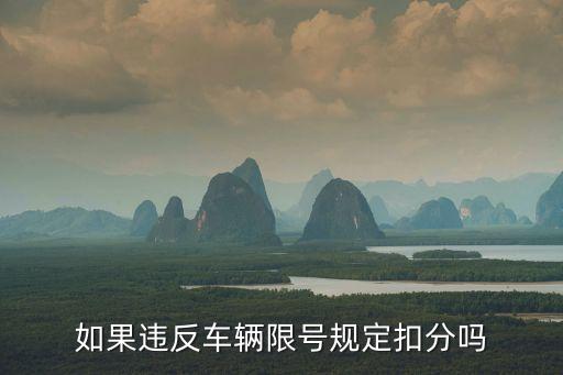 限行扣幾分，違反限行政策扣幾分