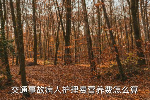 交通事故營養(yǎng)費(fèi)，車禍后營養(yǎng)費(fèi)的標(biāo)準(zhǔn)是多少