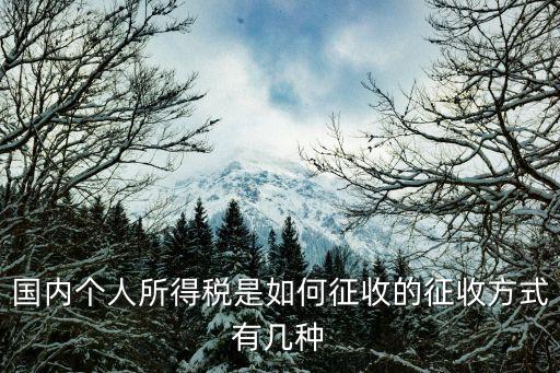 個人所得稅是怎么征收的，國內(nèi)個人所得稅是如何征收的征收方式有幾種