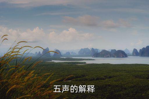 五聽