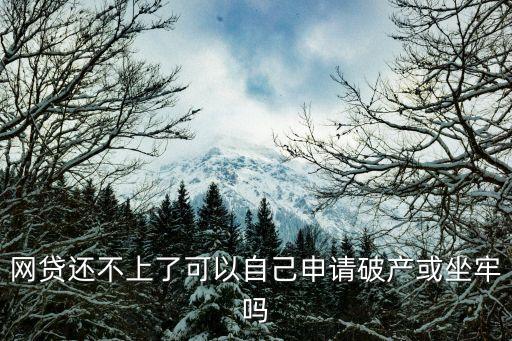 破產(chǎn)程序，網(wǎng)貸還不上了可以自己申請破產(chǎn)或坐牢嗎