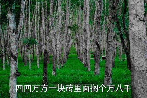 萬八千，四四方方一塊磚里面擱個(gè)萬八千