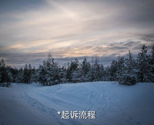 *起訴流程，*起訴具體流程
