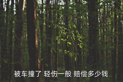 被車撞了輕傷賠償5000,車禍沒(méi)住院在家休養(yǎng)怎么賠償