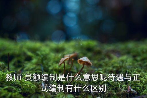 員額是什么意思,備案制教職工員額是什么意思