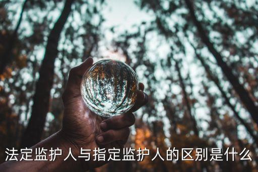 指定監(jiān)護，指定監(jiān)護的程序有哪些