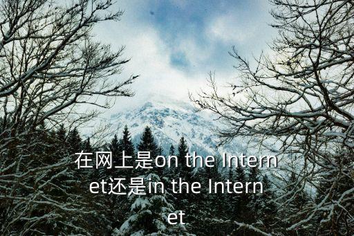 在網(wǎng)，在網(wǎng)上是on the Internet還是in the Internet