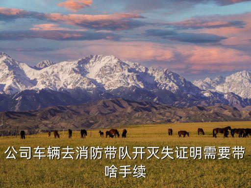 滅失證明，公司車輛去消防帶隊(duì)開滅失證明需要帶啥手續(xù)