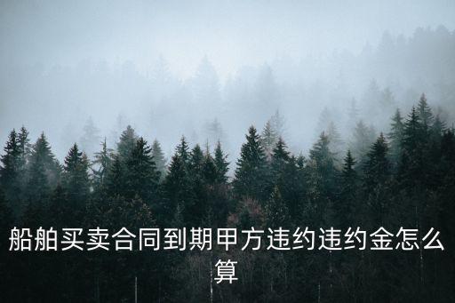 船舶買賣合同，船舶買賣合同到期甲方違約違約金怎么算
