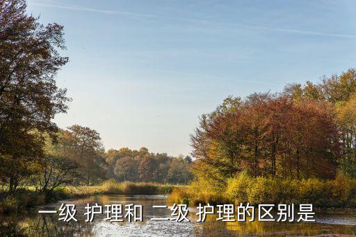 一級 護理和 二級 護理的區(qū)別是