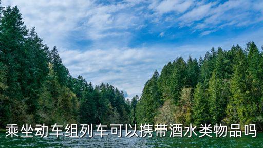 坐動車可以帶酒嗎，乘坐動車能否攜帶酒水