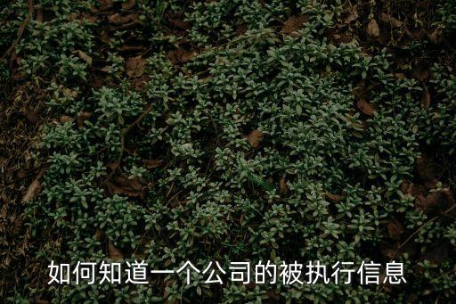 被執(zhí)行查詢，*強(qiáng)制執(zhí)行時(shí)間被執(zhí)行人財(cái)產(chǎn)情況怎么查