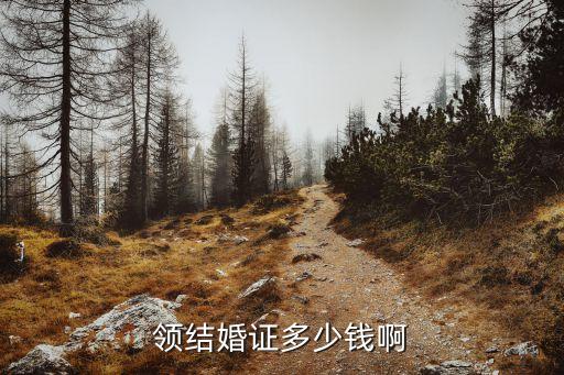 領(lǐng)結(jié)婚證多少錢啊