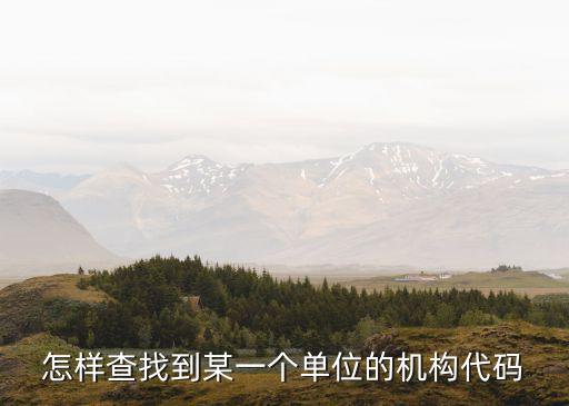 企業(yè)機(jī)構(gòu)代碼查詢，怎么查一個(gè)公司的組織機(jī)構(gòu)代碼