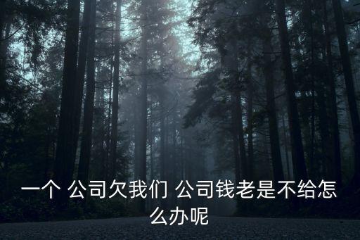 一個(gè) 公司欠我們 公司錢老是不給怎么辦呢