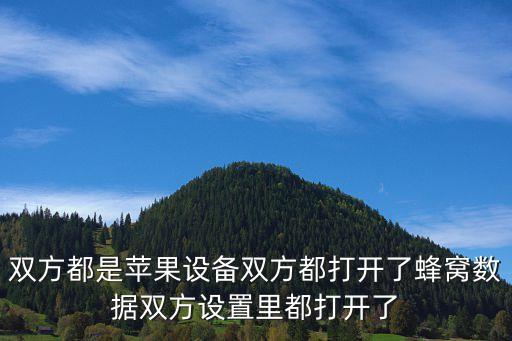 雙方都是蘋果設(shè)備雙方都打開了蜂窩數(shù)據(jù)雙方設(shè)置里都打開了