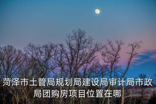 菏澤市土管局規(guī)劃局建設(shè)局審計(jì)局市政局團(tuán)購房項(xiàng)目位置在哪