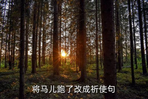 跑了，打牌輸錢了跑了有責任嗎