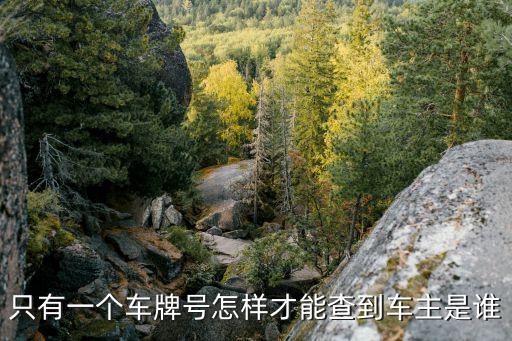 只有一個車牌號怎樣才能查到車主是誰