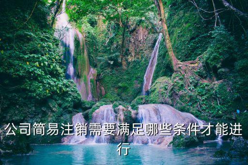 公司簡易注銷需要滿足哪些條件才能進行