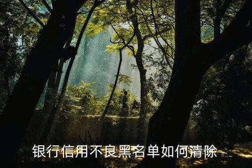 銀行黑名單怎么辦，銀行黑戶怎么消除