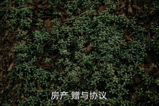 贈(zèng)與合同部分無(wú)效