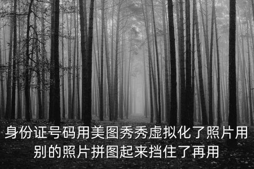 身份證號碼用美圖秀秀虛擬化了照片用別的照片拼圖起來擋住了再用