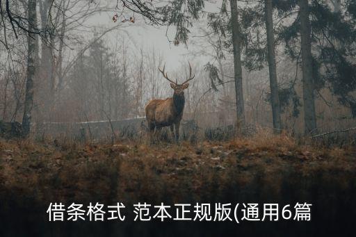 標準的借條模板范本,個人借條怎么寫最好